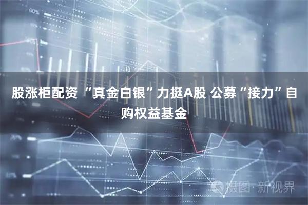 股涨柜配资 “真金白银”力挺A股 公募“接力”自购权益基金